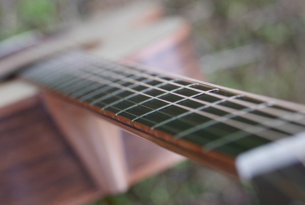 montgomery guitars, ebony fretboard, fanned frets