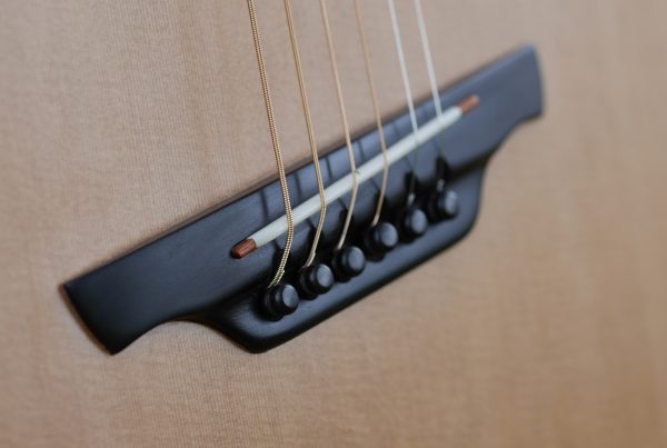 ebony bridge, montgomery guitars