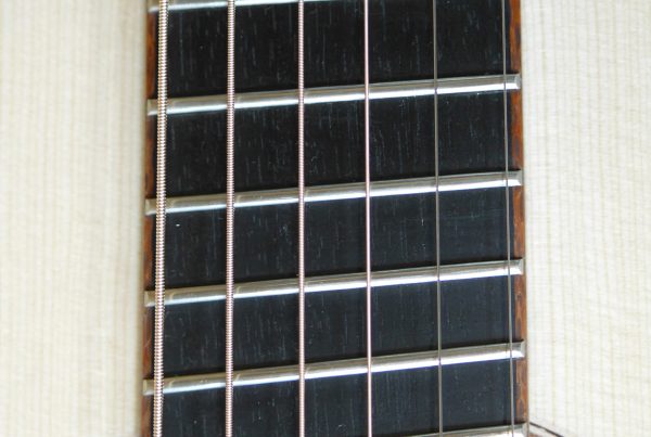 brazilian lacewood, custom guitar, Montgomery guitars