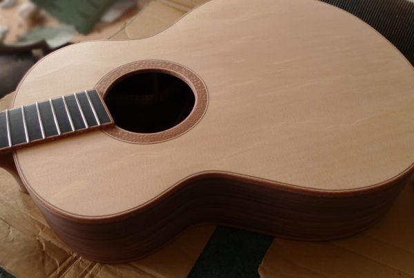 fanned frets, andreas montgomery, montgomery guitar , northern ireland, luthier