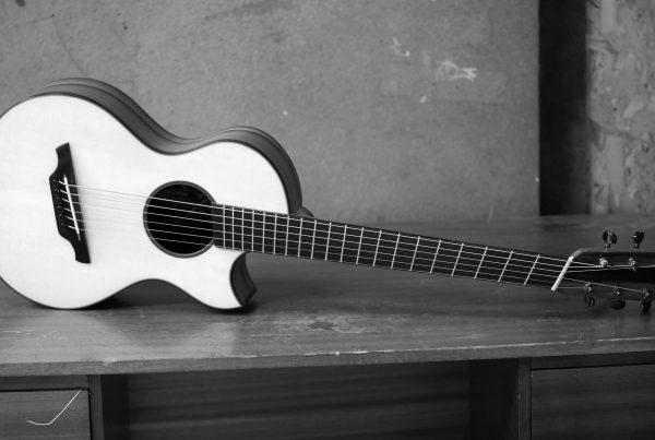parlour guitar, custom guitar