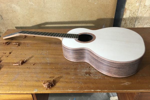 fanfret, fanned frets, madagascar rosewood, spruce, montgomery guitar