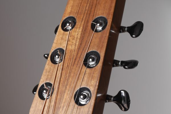 headstock, montgomery guitars, inlay, logo